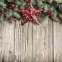 Ограждение для ёлок Красная звезда