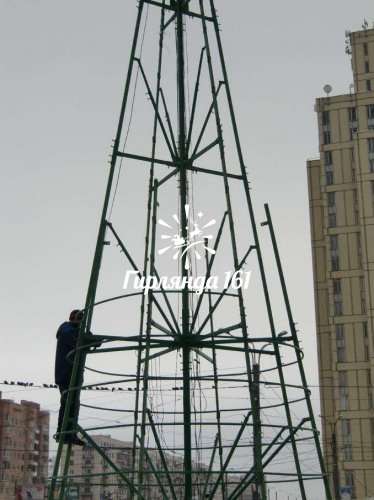 Ель каркасная «Уральская»