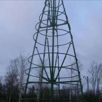 Сосна каркасная «Уральская»