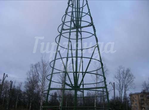 Сосна каркасная «Уральская»