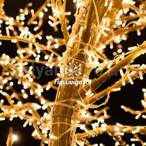 Световое дерево Аэлита