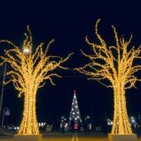 Светодиодное дерево «Парма»