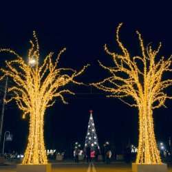 Светодиодное дерево «Парма»