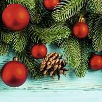 Ограждение для ёлок Бирюза тема