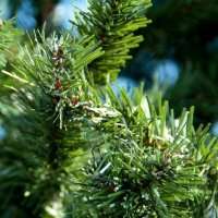 Ель искусственная ствольная  «Альпийская»