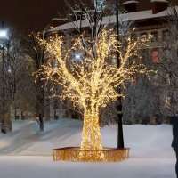 Световое дерево Юна