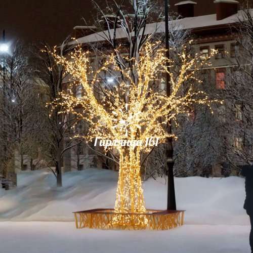 Световое дерево Юна