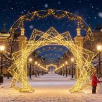 Световая арка Созвездие