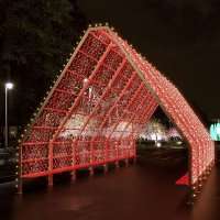 Световой тоннель Сияние огней