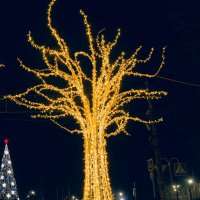 Светодиодное дерево «Парма»