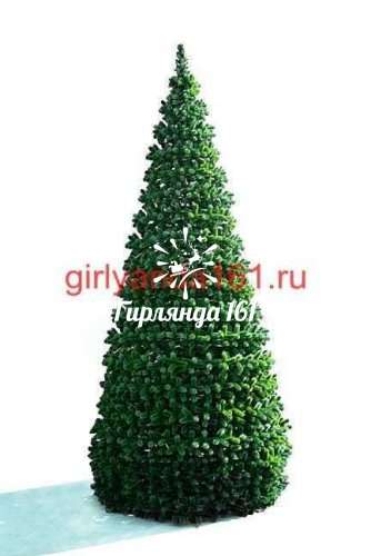 Сосна каркасная «Уральская»