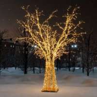 Световое дерево Теона