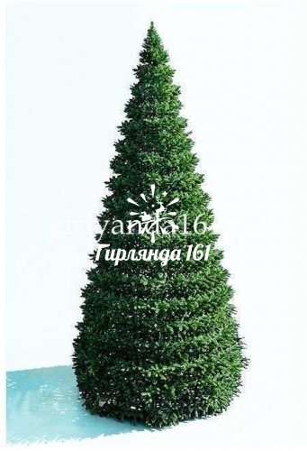 Ель каркасная «Уральская»