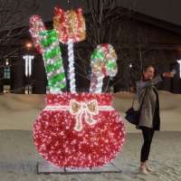 Световая фигура Сказочный мешок из мишуры