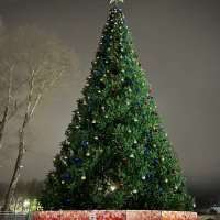 Ель искусственная ствольная  «Альпийская»