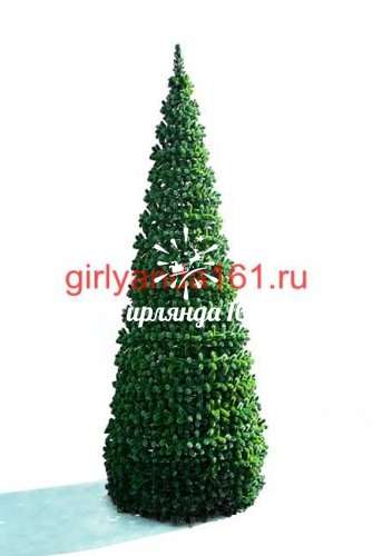 Сосна «Евро-2» каркасная