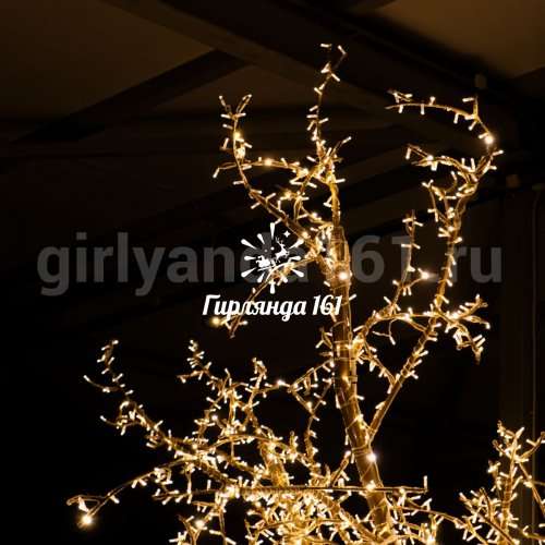 Световое дерево Аэлита